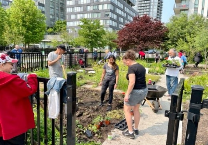 Gardening at Regent Park